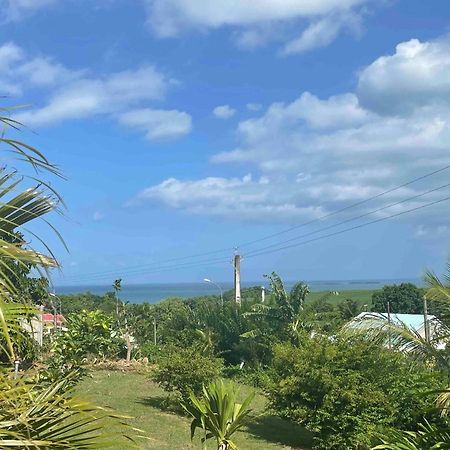 Bel Appartement T2 Avec Vue Sur Palmier Et Mer Sainte-Rose Extérieur photo